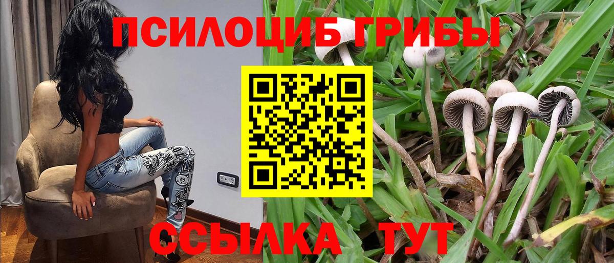 Псилоцибиновые грибы Psilocybine cubensis  Галлюциногенные грибы MAGIC MUSHROOMS  наркота  Вход с VPN  Мичуринск 